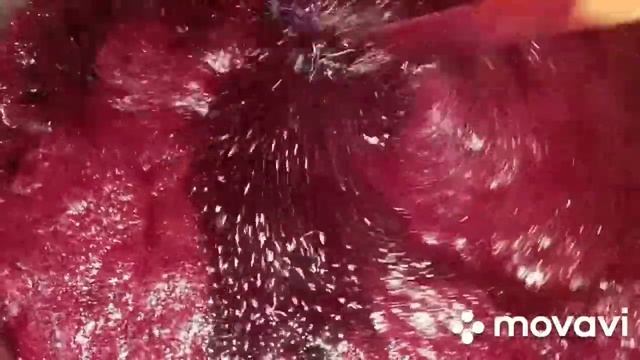 Домашние Животные и Их Уход