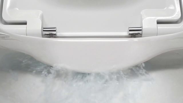 Безободковые унитазы Roca в Хабаровске смотреть онлайн