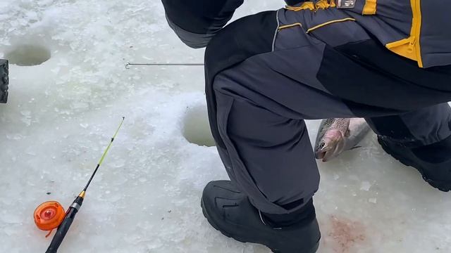 Поимки спорт зона Красногорск рыбалка смотреть онлайн