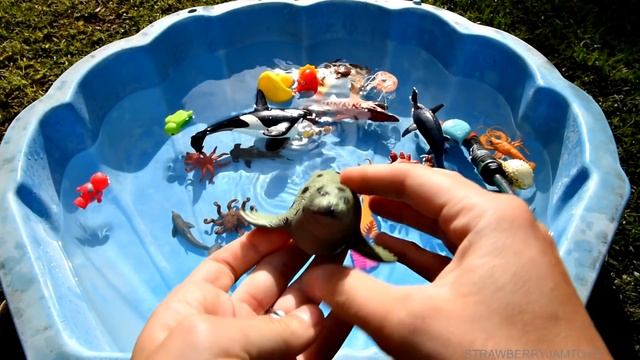 Learn Sea Animals and Wild Safari Jungle Zoo Animal Names for Kids Children смотреть онлайн