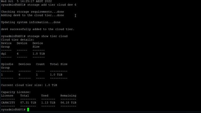 Configure ECS Cloud Tier with Data Domain смотреть онлайн