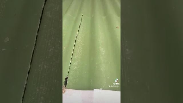 Вдохновляющие преобразования