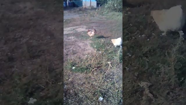 Лада королева 3 часть смотреть онлайн