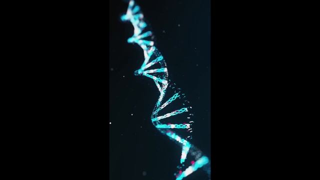 Тильда 3 смотреть онлайн