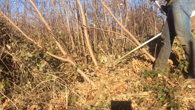 Розчистка території з STIHL FS450 смотреть онлайн