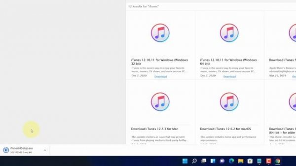 How to install iTunes on Windows 11 - iTunes Installation Tutorial