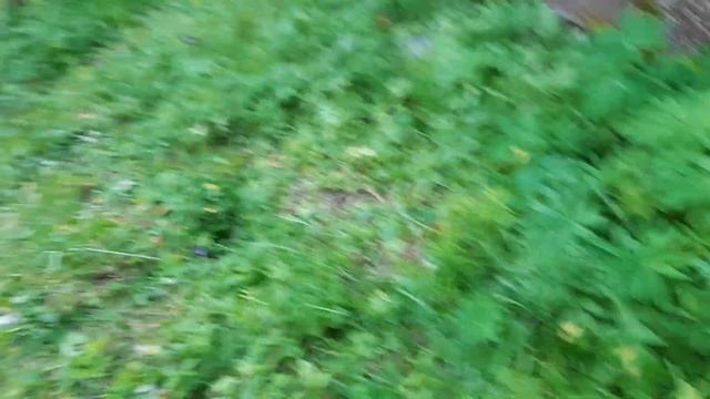 Поход. Вторая стоянка. Идём с Ведюшкой на ручей ) смотреть онлайн