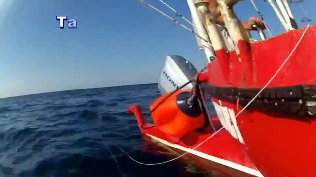 Подводная съёмка Большой Утриш. 27.08.2018 смотреть онлайн