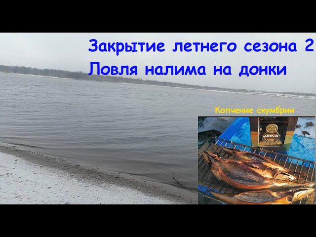 Ловля налима на р. Брусовица