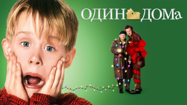 Один дома 1 (фильм, 1990)