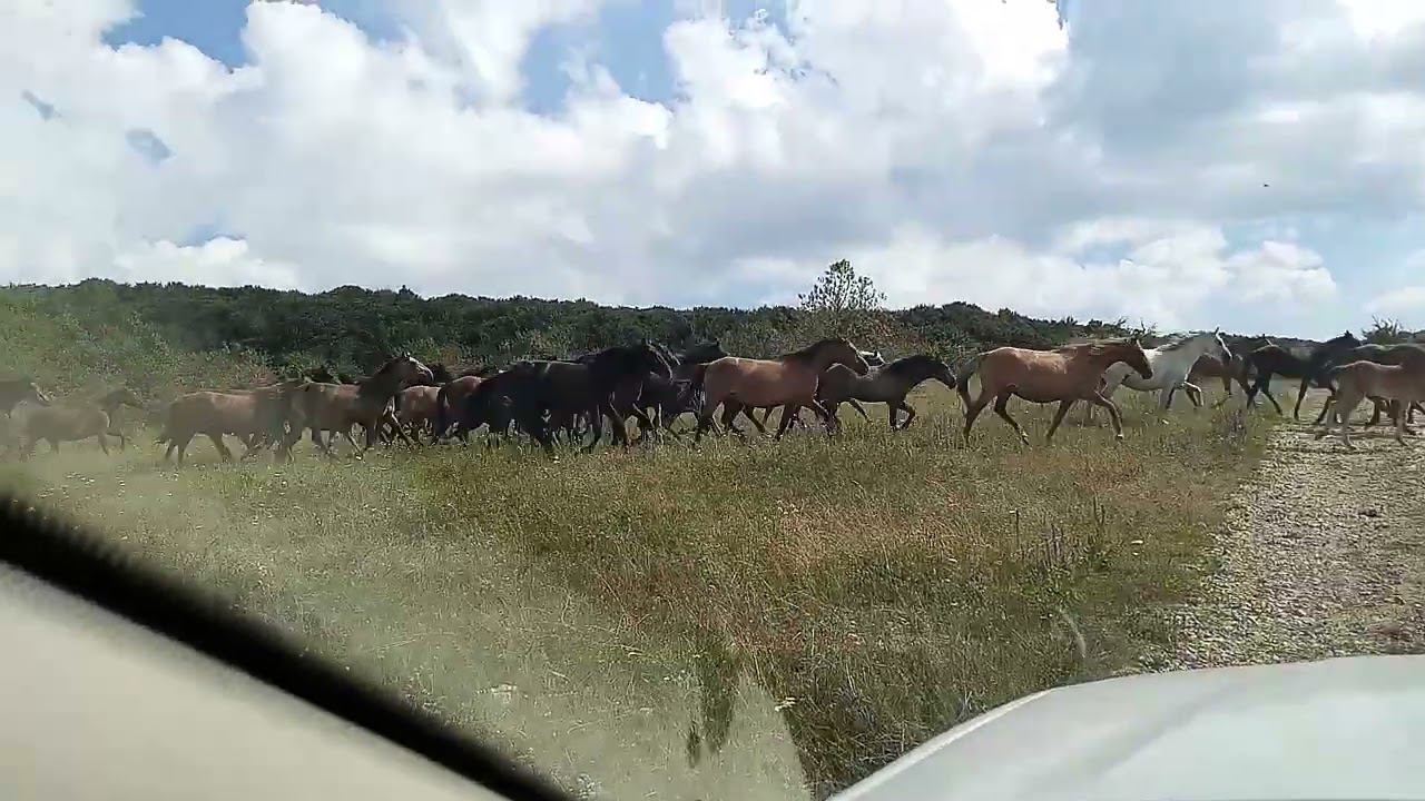 Долгоруковка 2023