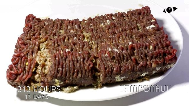 Minced Meat Time-Lapse