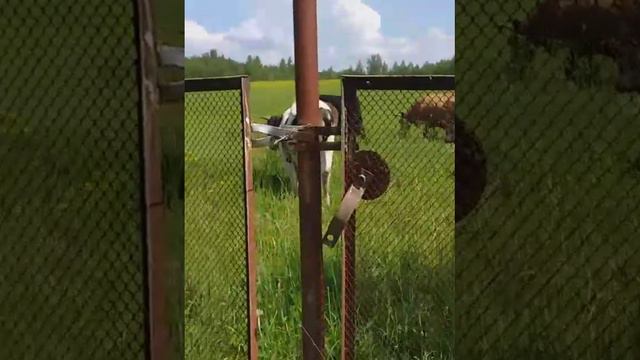 Хочу на море...хочу в Одессу....