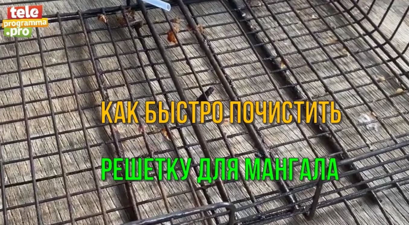 Как быстро отчистить засохшую решетку для шашлыка смотреть онлайн