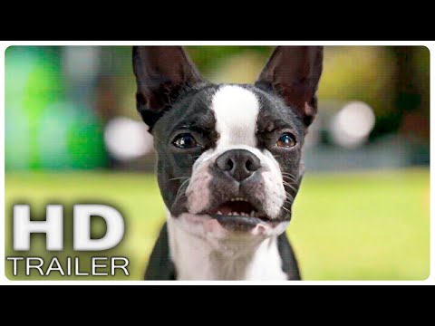 БРОДЯГИ Русский трейлер (Субтитры, 2023) Айла Фишер, Уилл Феррелл, Джейми Фокс смотреть онлайн