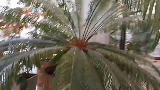 Мастерство и Саморазвитие