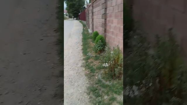 Каскелен. смотреть онлайн