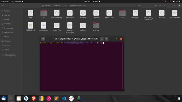 flutter white screen issue waiting for a debug connection (Error connecting to the service protocol смотреть онлайн
