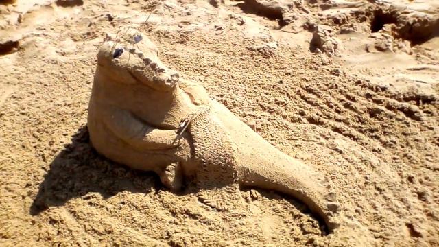 По улице ходила!.. смотреть онлайн