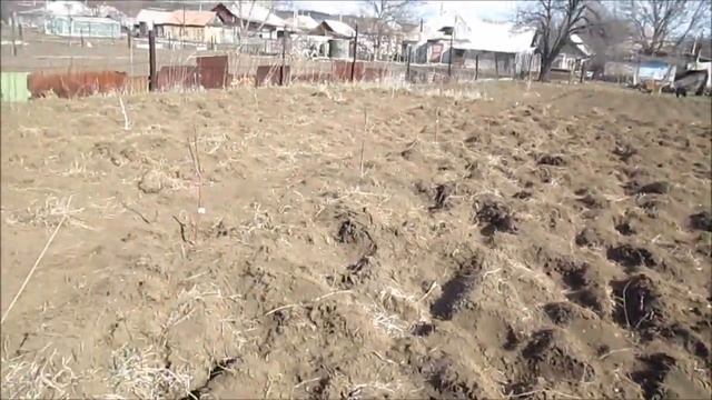 Культивация земли ФРЕЗОЙ на тракторе Т 25 Владимирец! // из Города в Деревню! смотреть онлайн