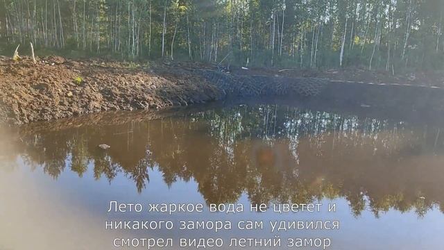Торфяной, естественный пруд смотреть онлайн