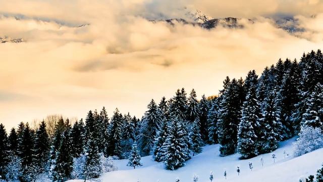 Christmas Music, Christmas Instrumental Music,  