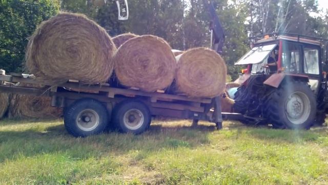 Siena rūļu vešana ar MTZ смотреть онлайн