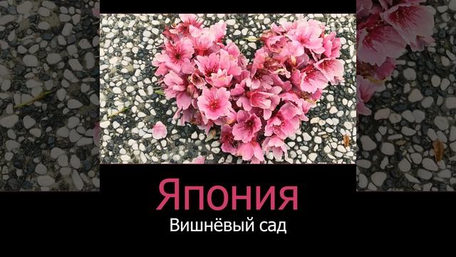 Тайский массаж смотреть онлайн