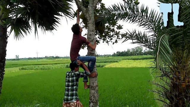 The most popular funny video 2019||||The Amazing Funny ||||The Fatra LTD||Upload By Technical Leon смотреть онлайн