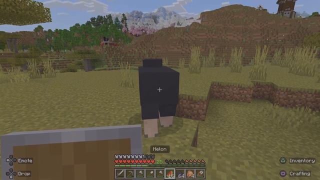 Minecraft VIDEO 🔥 😃 смотреть онлайн