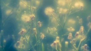 Валерий Гаврилин - Вечерняя музыка (Перезвоны)