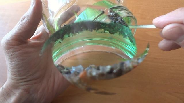 МЫ СОЗДАЛИ ПОДВОДНЫЙ ТЕРРАРИУМ смотреть онлайн