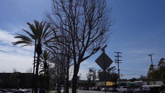 #7; ВЛОГ ЛОС-АНДЖЕЛЕС, КАЛИФОРНИЯ, ПЕРВЫЙ РАЗ В ЛА, ЗАПАДНОЕ ПОБЕРЕЖЬЕ смотреть онлайн