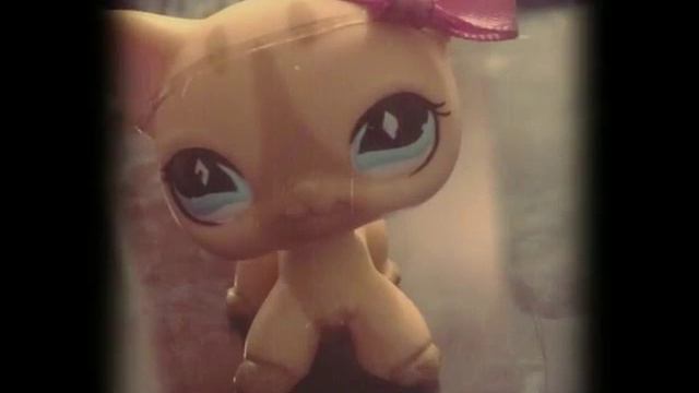 Lps стоячки и колли смотреть онлайн
