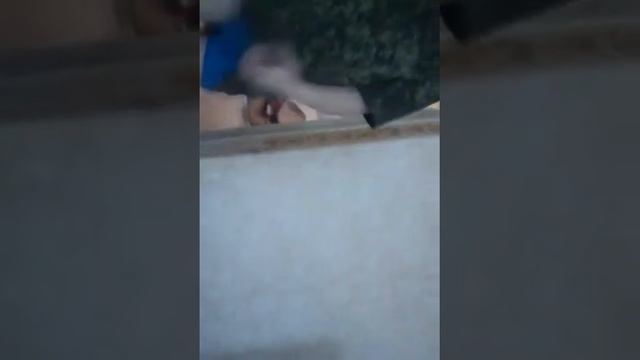 Игра в слабо не слабо смешная игра смотреть онлайн
