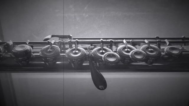 Flute Sonata, A 503 (Gaetano Donizetti) flute : Kirio Matsuda смотреть онлайн