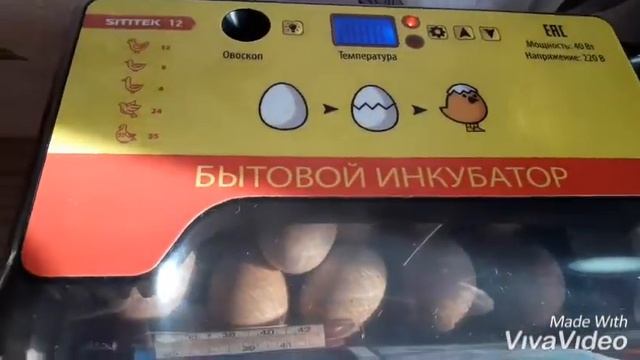 Бытовой инкубатор,, SITITEK™12 