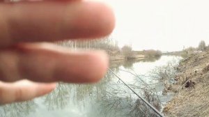 Очень уловистая приманка для ловли окуня. Ловля окуня весной 2021. Силикон от Яковлева Виталия.