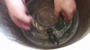 Как сохранить раков живыми на протяжении 5 суток. Простейший способ.