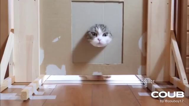 1609694203_looped_1609694202.mp4 смотреть онлайн