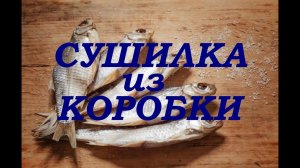 Как сделать сушилку для рыбы дома (самый простой способ).
