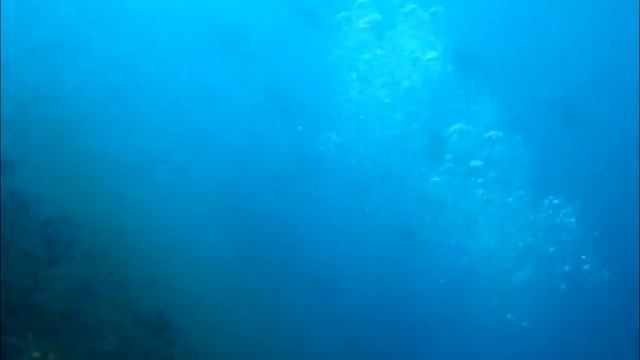 A MALDIVIAN EXPERIENCE смотреть онлайн