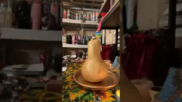 fertility spell смотреть онлайн