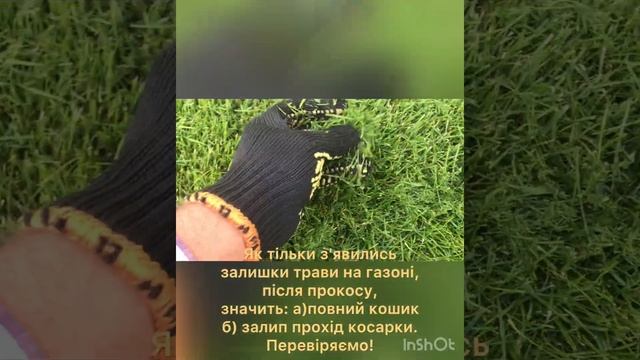 Технология покоса газона, лайфхак по стрижке газона, как правильно косить газон, уход за газоном смотреть онлайн