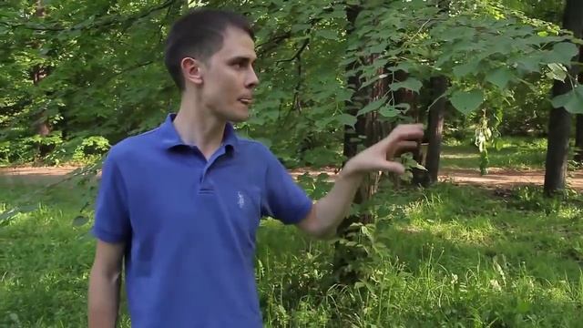 Размытие переднего или заднего плана смотреть онлайн