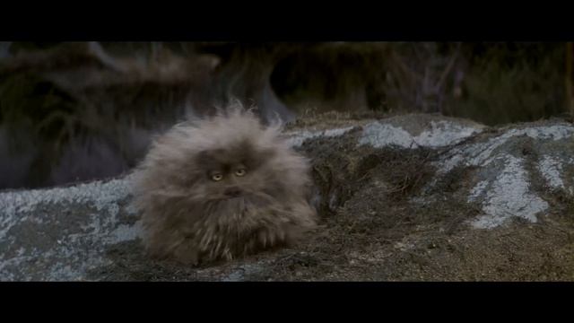 Best of Fizzgig | The Dark Crystal смотреть онлайн