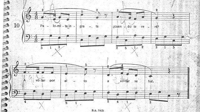 🎵 Rita Kurzmann - El Primer Paso del Pianista Argentino - 10. Palomita ingrata смотреть онлайн