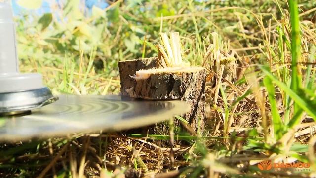 Триммеры бензиновые Daewoo. Обзор мотокос [Daewoo Power Products Russia] смотреть онлайн