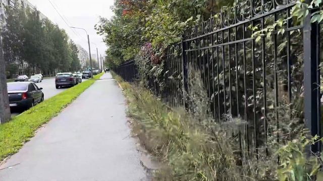 Про удаленное видео. Про обследование. Немного жути и хомяки. ???? смотреть онлайн