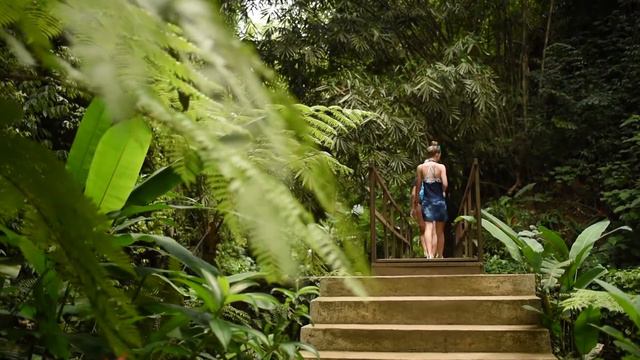 Archipel360 présente : Cascade de Tibumana (Tibumana Waterfall) смотреть онлайн